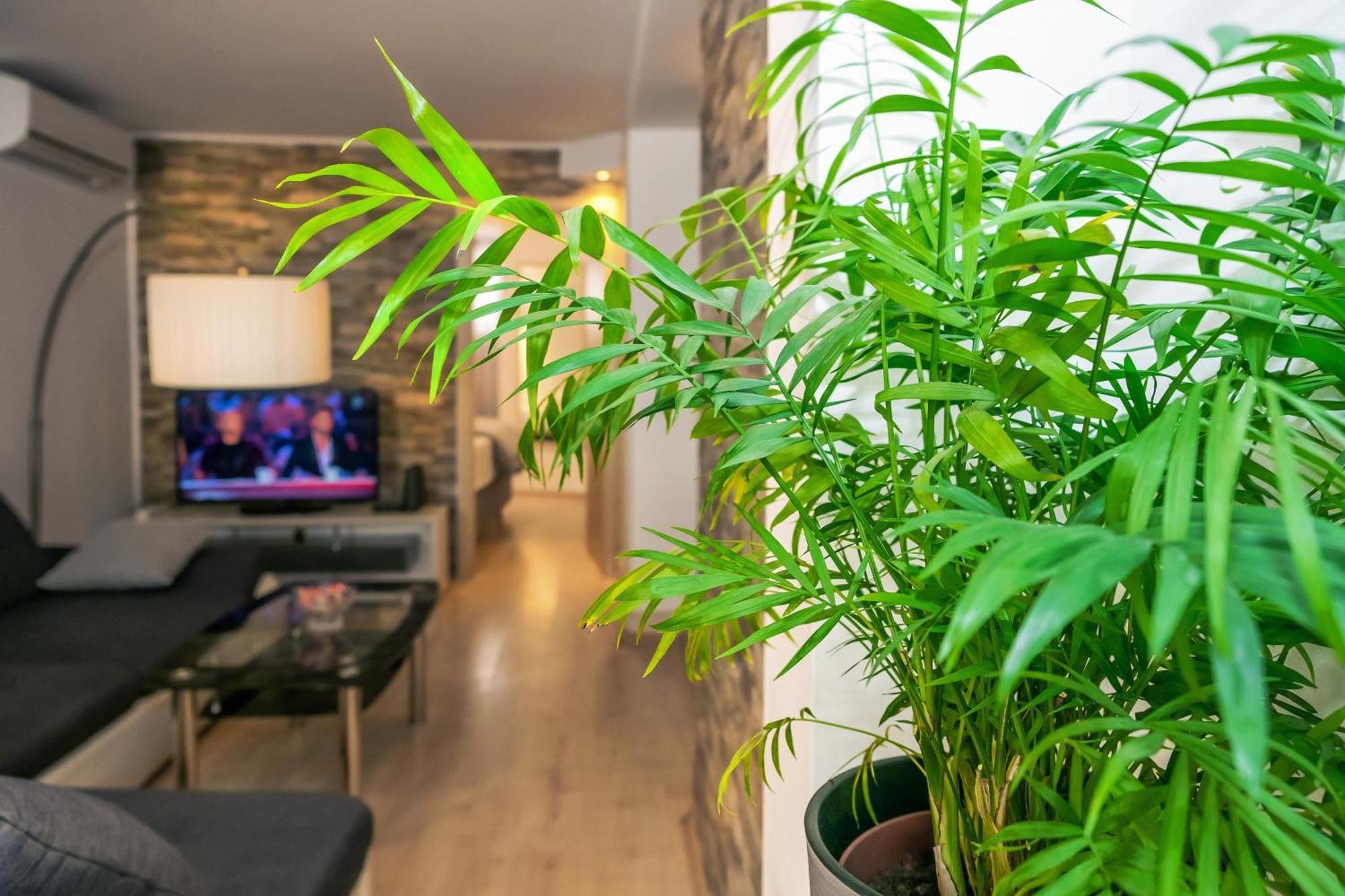 Relaxing 2Bd Apartment, Ground Floor - Walk To Old Town 스플리트 외부 사진